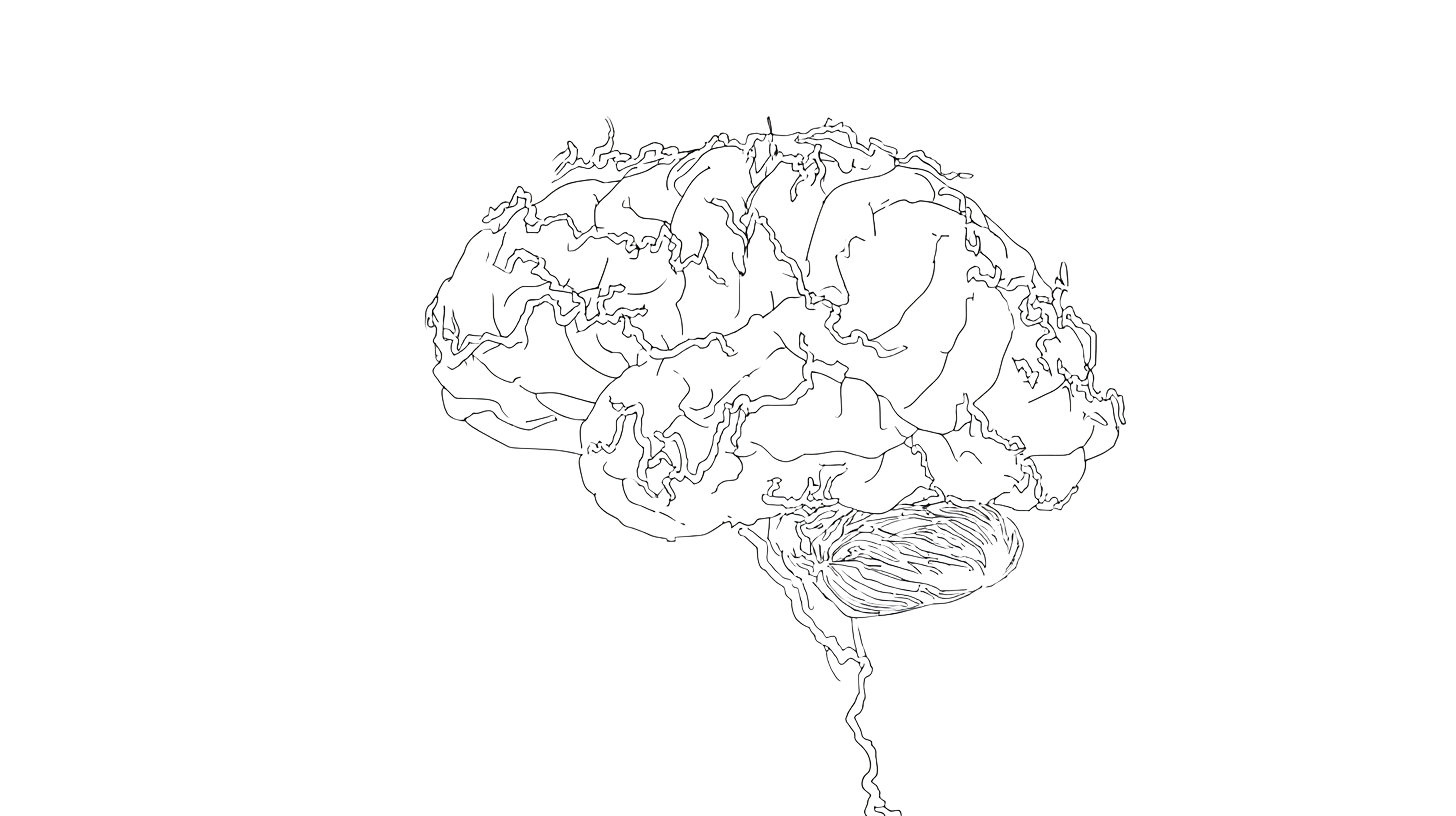 Brain sketch for Where The Mind Goes exhibition